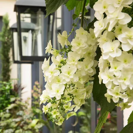 Hôtel Villa Madame - Saint-Germain-des-Prés-3